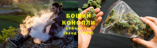 ГАЛЛЮЦИНОГЕННЫЕ ГРИБЫ Аркадак