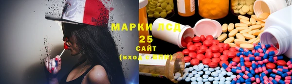 ГАЛЛЮЦИНОГЕННЫЕ ГРИБЫ Аркадак