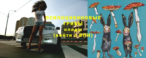 ГАЛЛЮЦИНОГЕННЫЕ ГРИБЫ Аркадак
