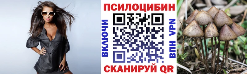 Купить закладки  Унеча  Псилоцибиновые грибы мицелий 