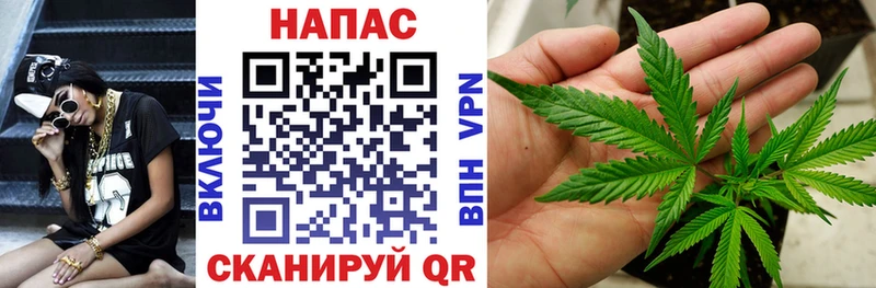 Шишки марихуана конопля  Купить  Унеча 